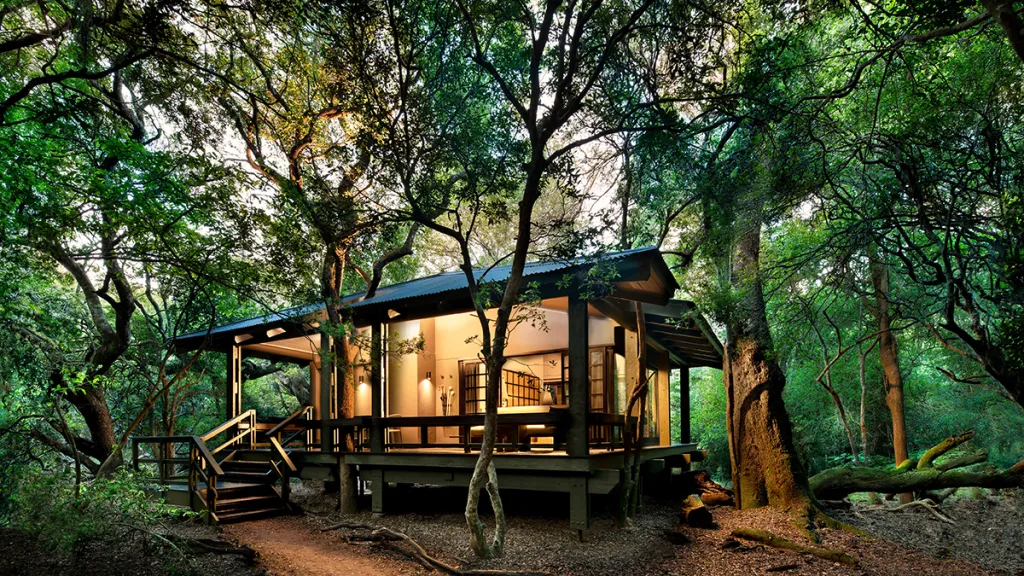 andBeyond Phinda Forest Lodge