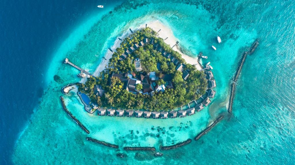 Taj Coral Reef Resort & Spa, Maldives