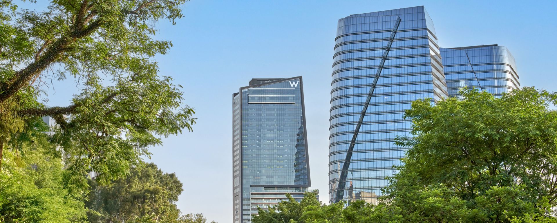 W São Paulo