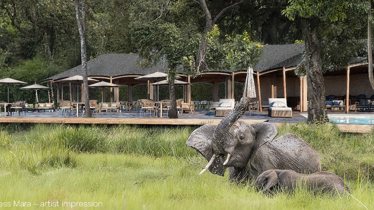 Wilderness Mara