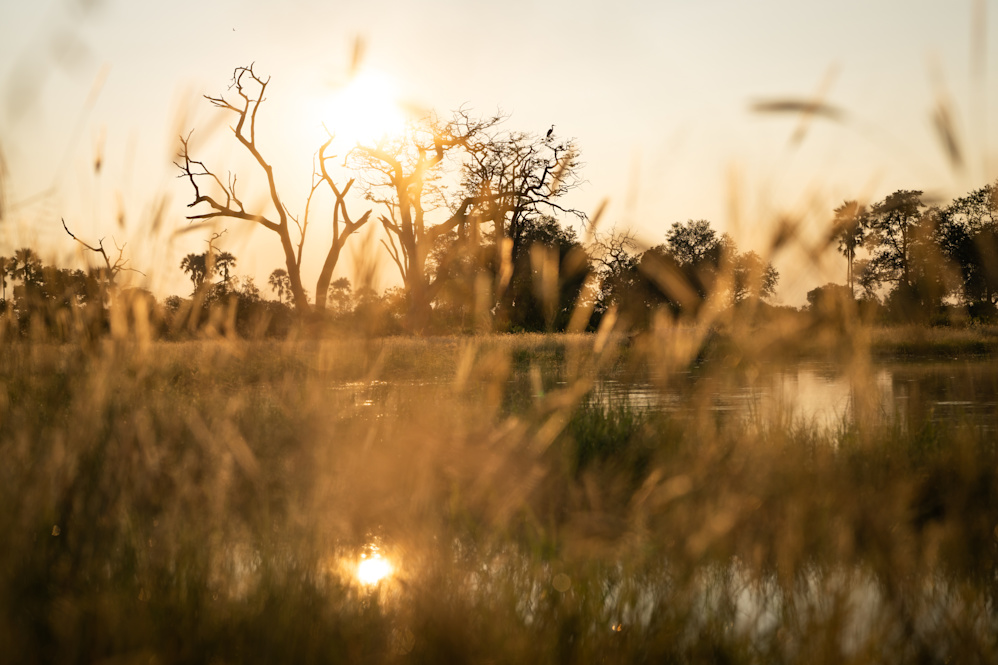 Singita Okavango Delta