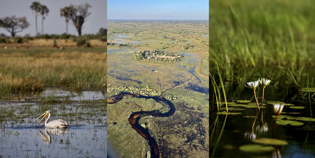 Singita Okavango Delta